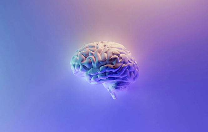 How Exercise Grows Your Brain Through the Endocannabinoid System