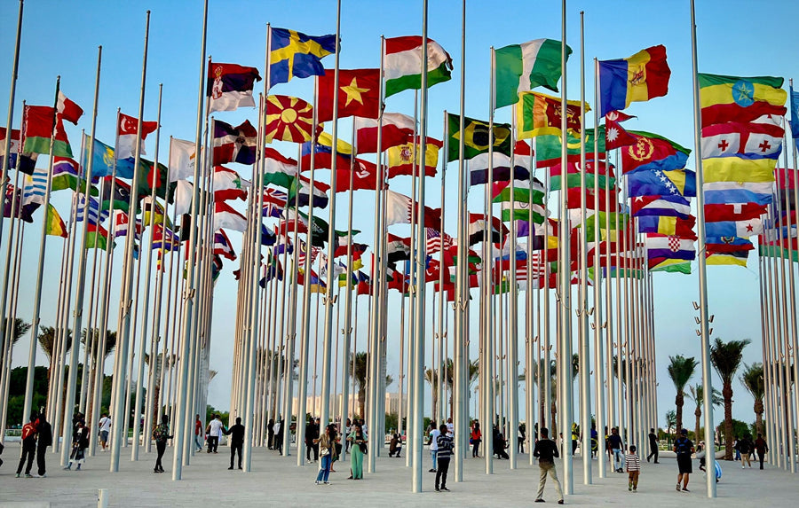 Cannabis Use by Country: All 48 World Cup Teams, Ranked
